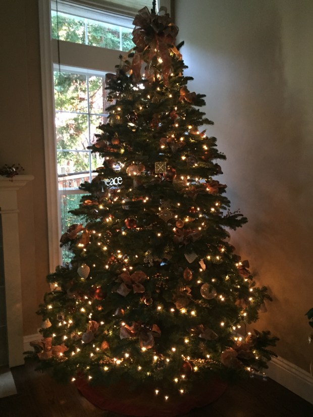 xmas tree 2015